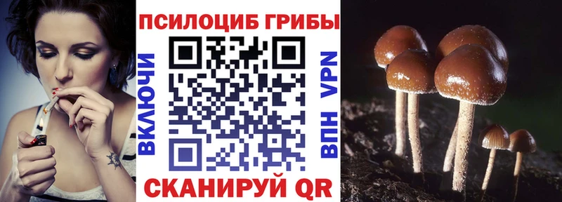 Галлюциногенные грибы мухоморы  Электросталь 