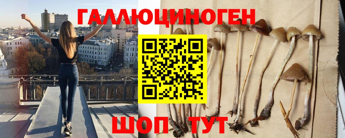 Галлюциногенные грибы MAGIC MUSHROOMS  Вход с VPN  Галлюциногенные грибы прущие грибы  Электросталь 