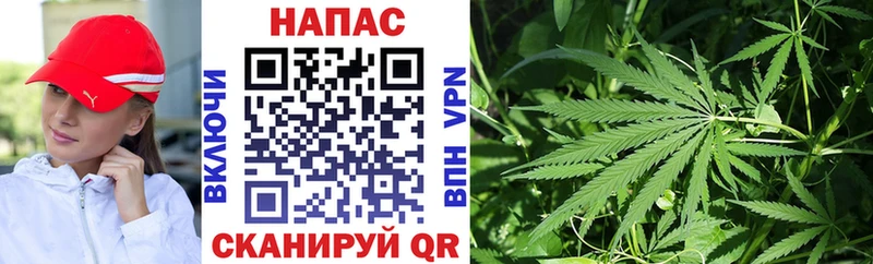 Каннабис конопля Электросталь